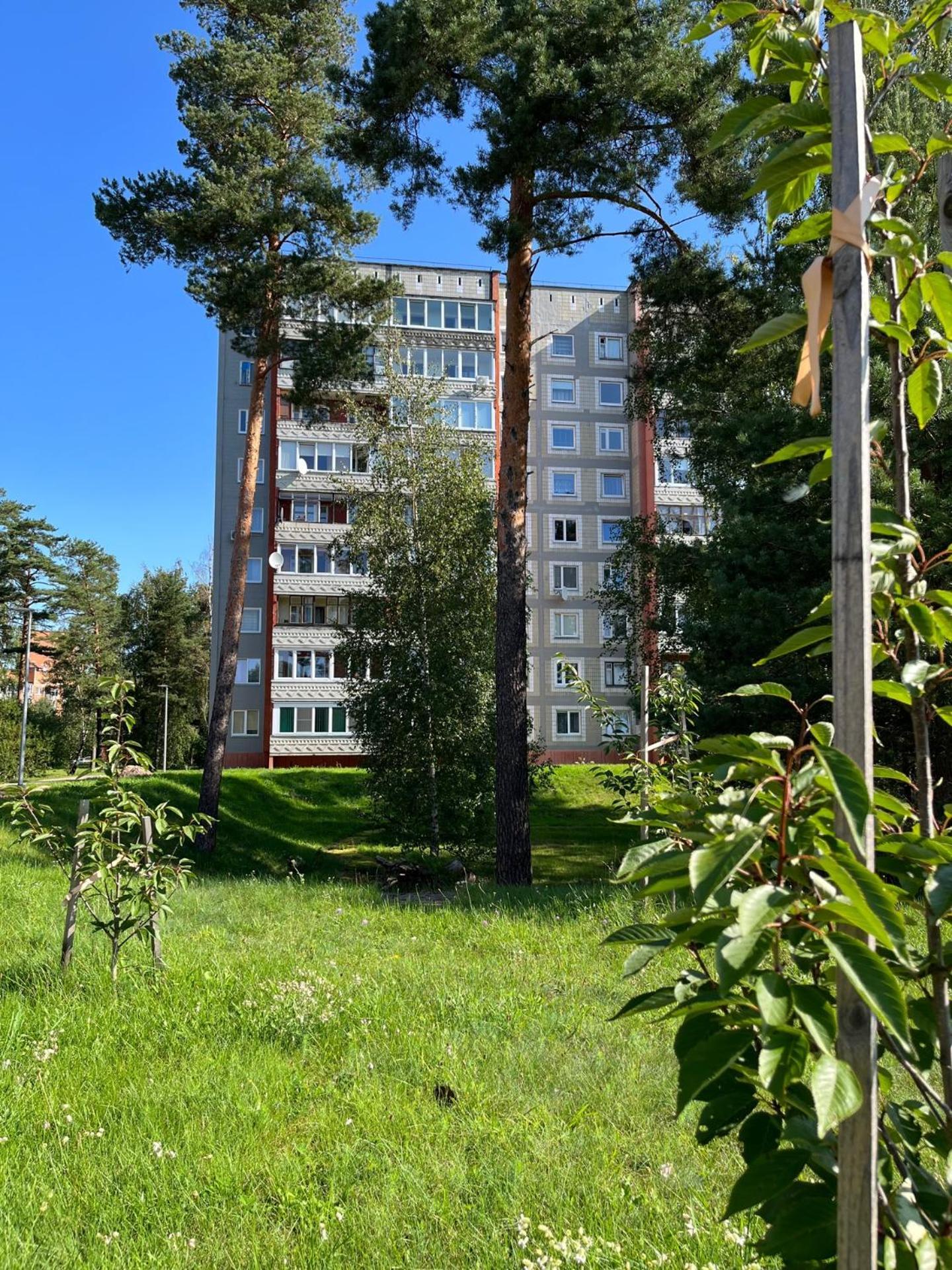 Pine Apartment Visaginas Exteriör bild